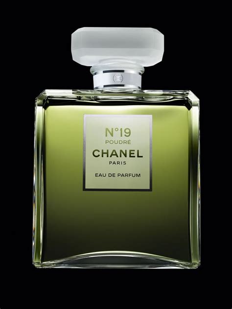 perfume coco chanel verde|coco chanel.